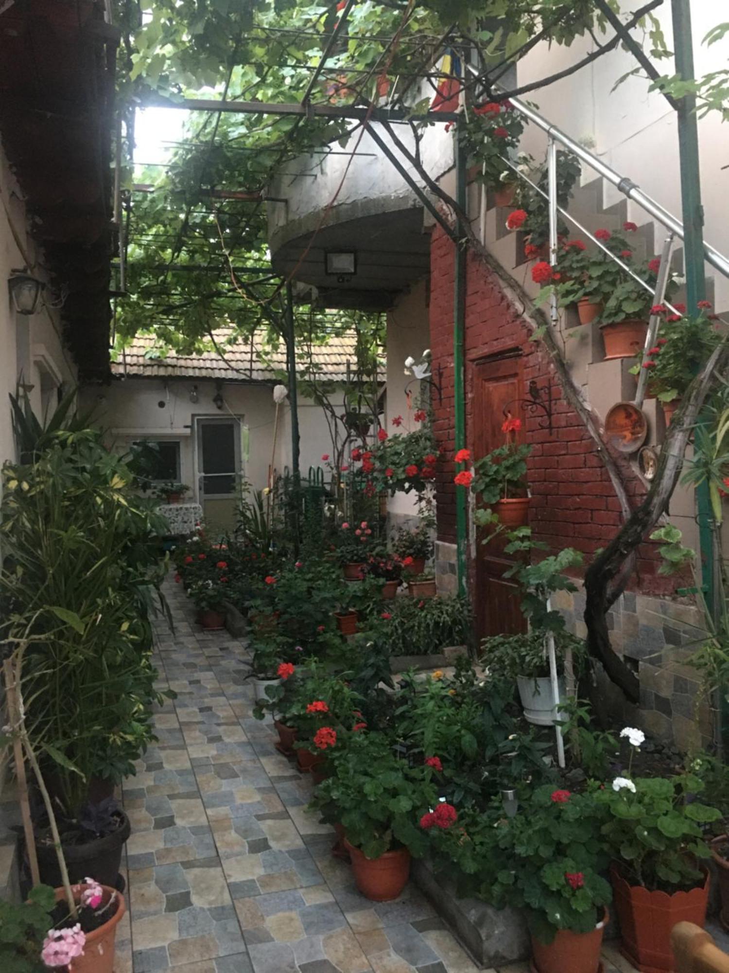 Cazare La Mare Vila Constanta宾馆